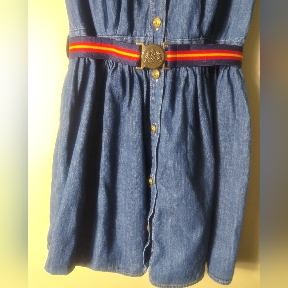 Polo Ralph Lauren Dress Girls size 16 - Picture 4 of 8